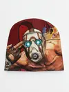 Детская шапка / BORDERLANDS 3