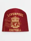 Детская шапка / Ливерпуль