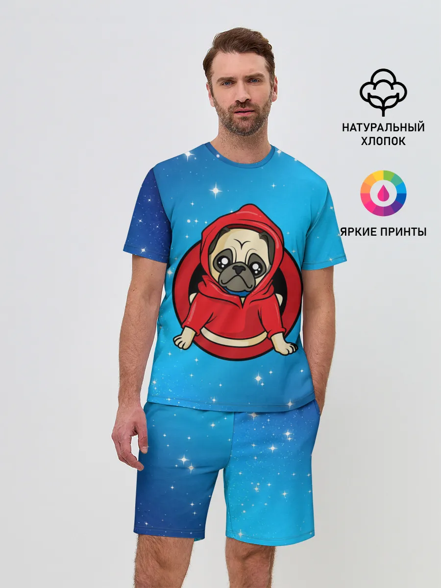 Мужской костюм с шортами / Мопс в толстовке