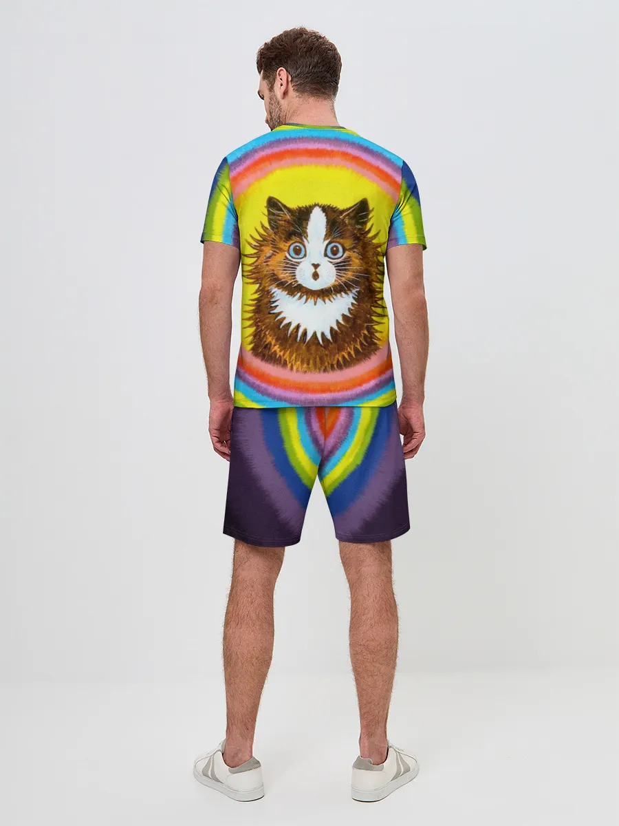 Мужской костюм с шортами / Радужный кот Луиса Уэйна
