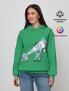 Женское худи / Неугомонный Сквиртл