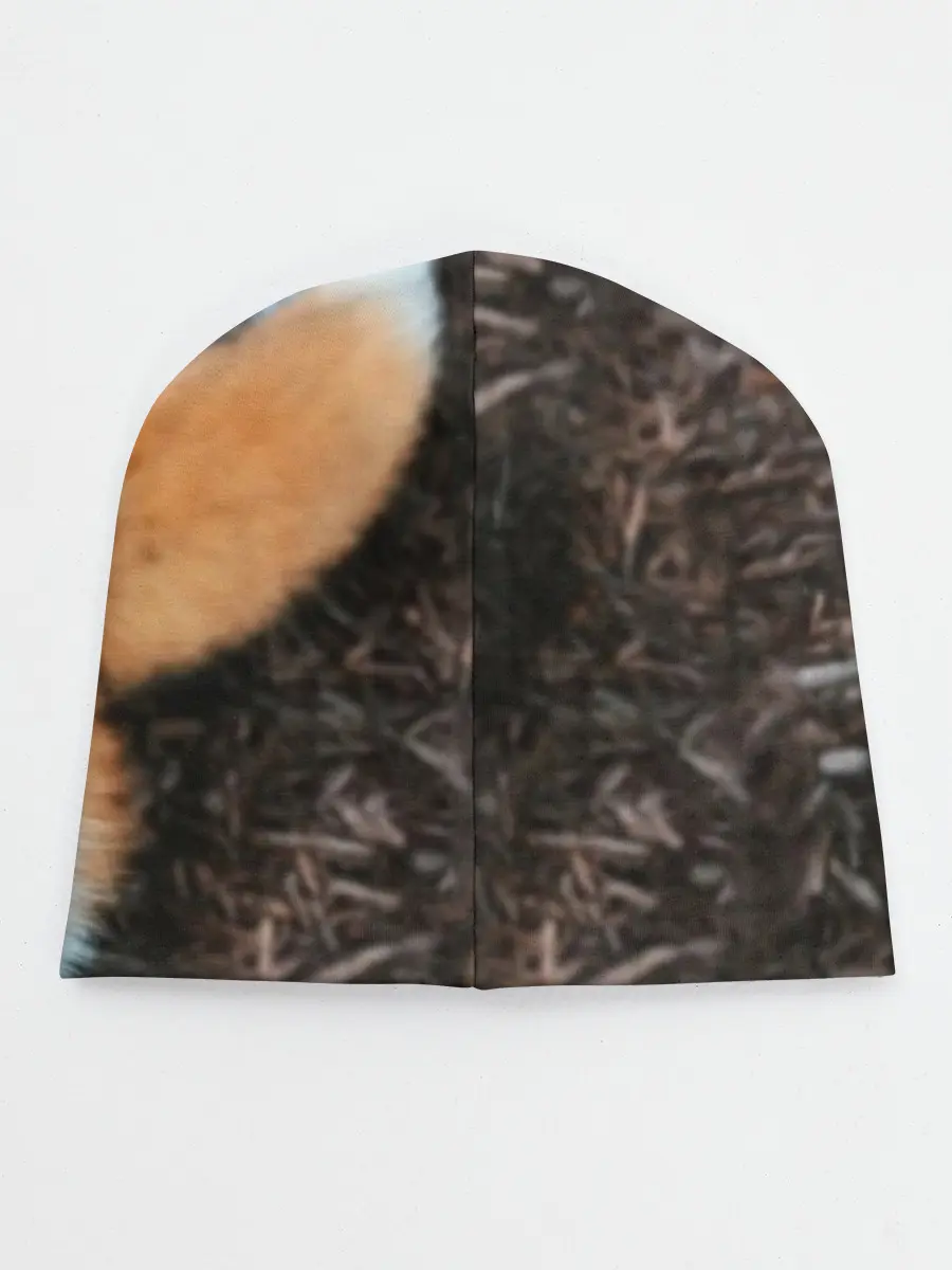 Детская шапка / Довольная лиса