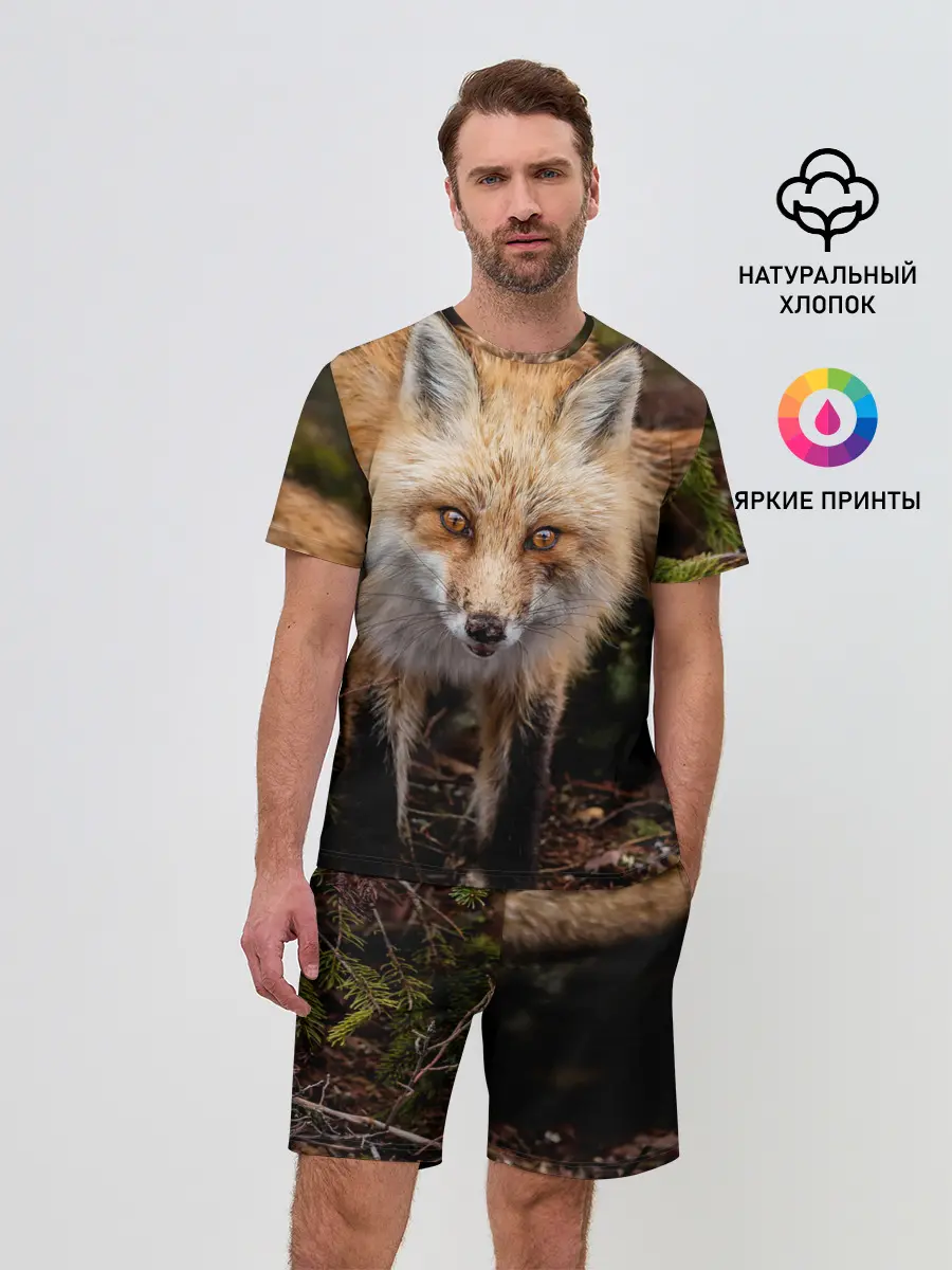 Мужской костюм с шортами / Лиса