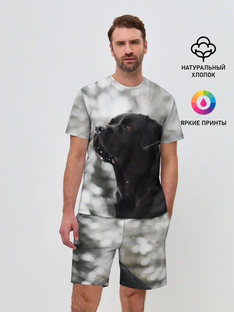 Мужской костюм с шортами / Лабрадор Марк