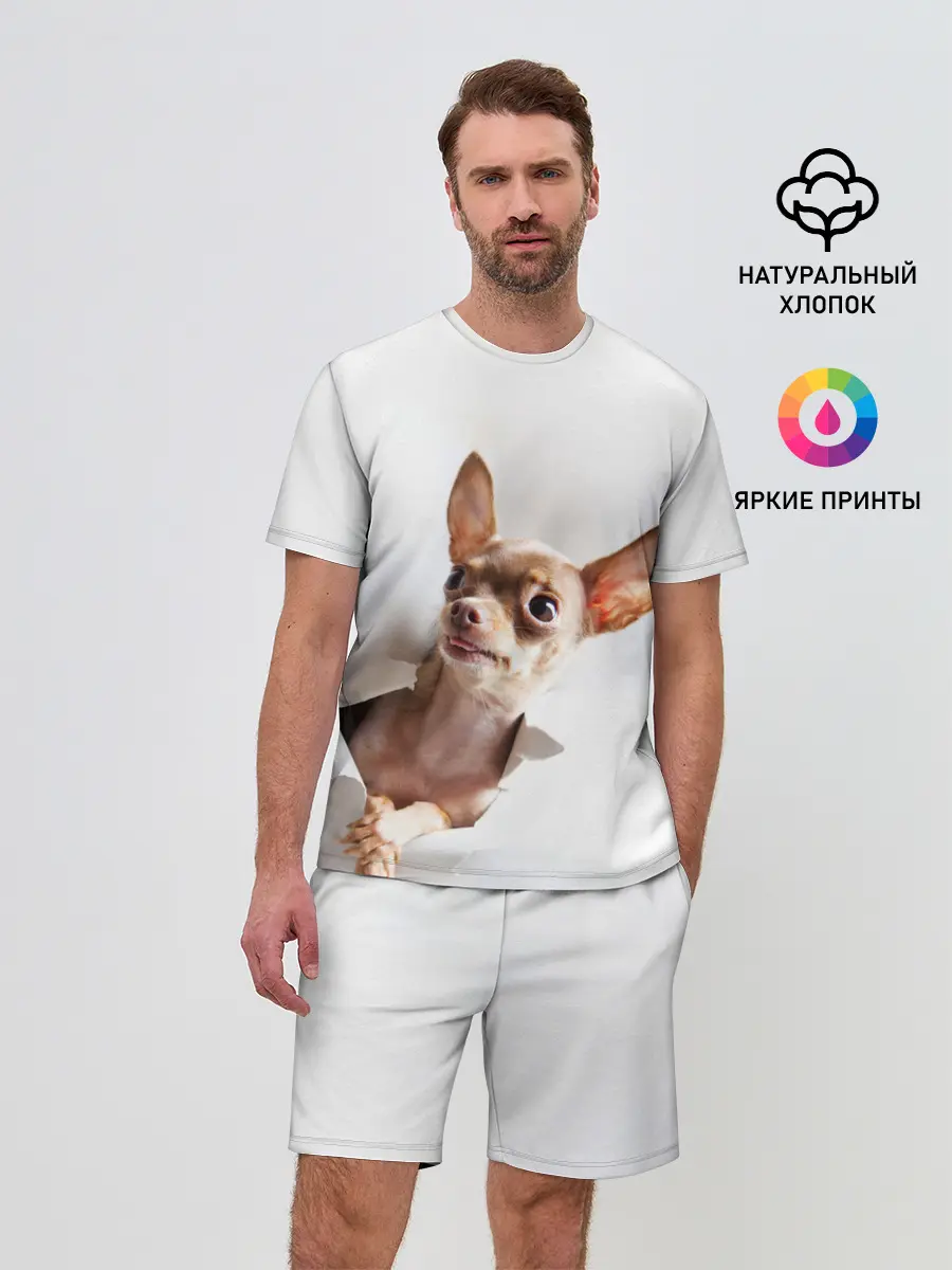 Мужской костюм с шортами / Чихуахуа из бумаги вылазит