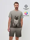 Мужской костюм с шортами / Сиамский кот голубые глаза
