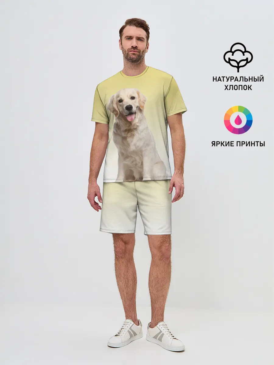 Мужской костюм с шортами / Лабрадор ретривер пес