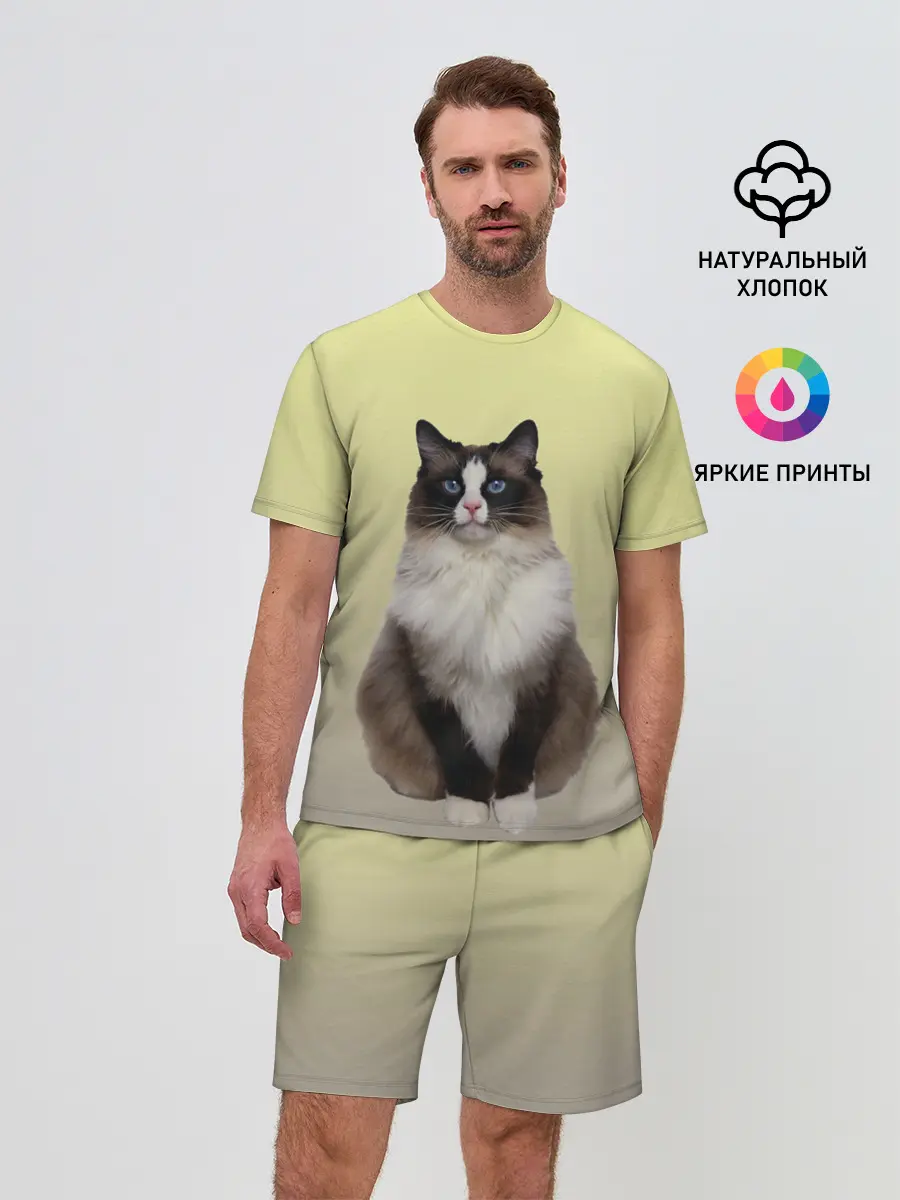 Мужской костюм с шортами / персидская пушистая кошка