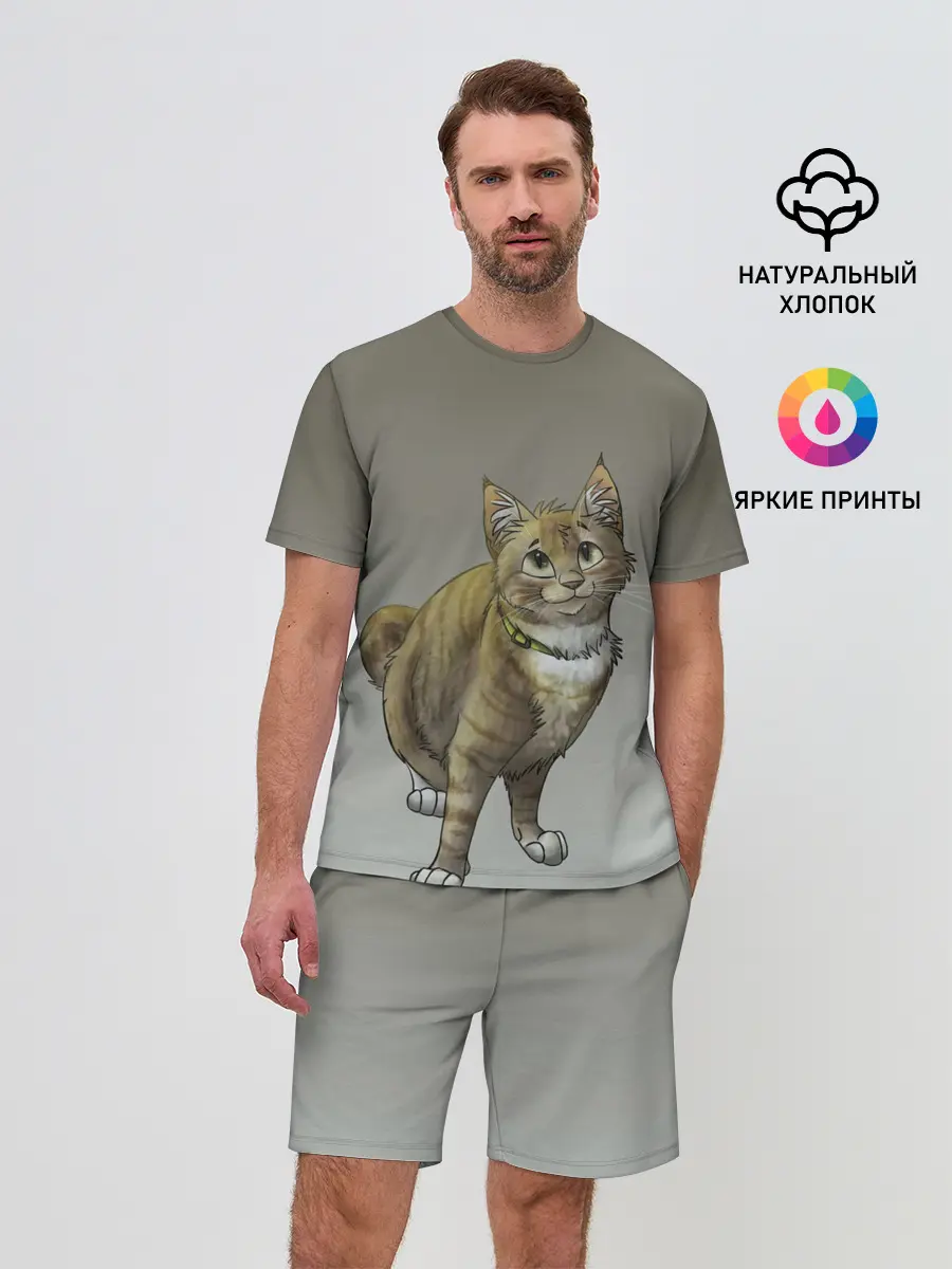 Мужской костюм с шортами / полосатый уличный кот