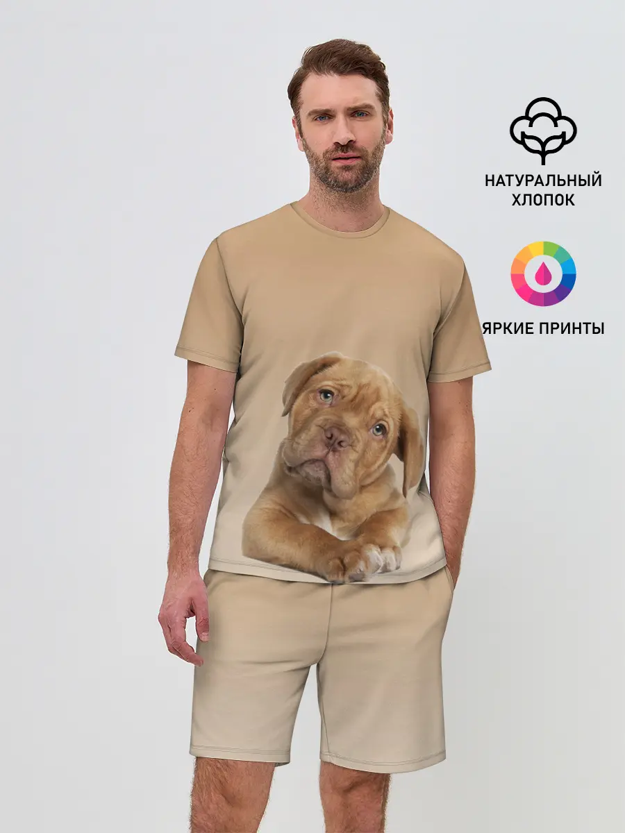 Мужской костюм с шортами / питбуль