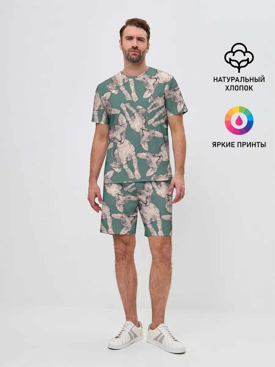 Мужской костюм с шортами / Котёнок сфинкса