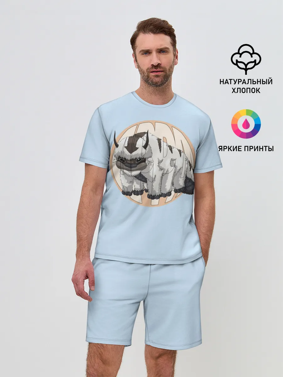 Мужской костюм с шортами / Appa