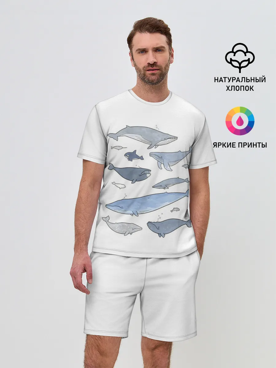 Мужской костюм с шортами / киты