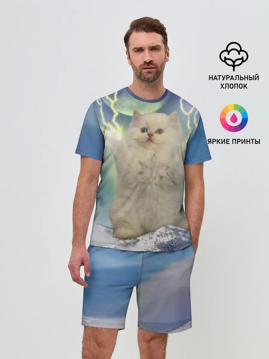 Мужской костюм с шортами / Грозовой Котик