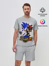 Мужской костюм с шортами / SONIC & SHADOW