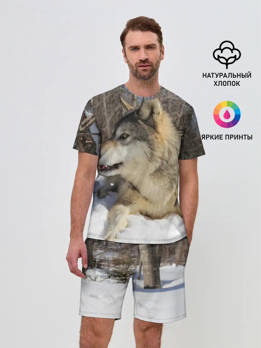 Мужской костюм с шортами / Волк лежит на снегу