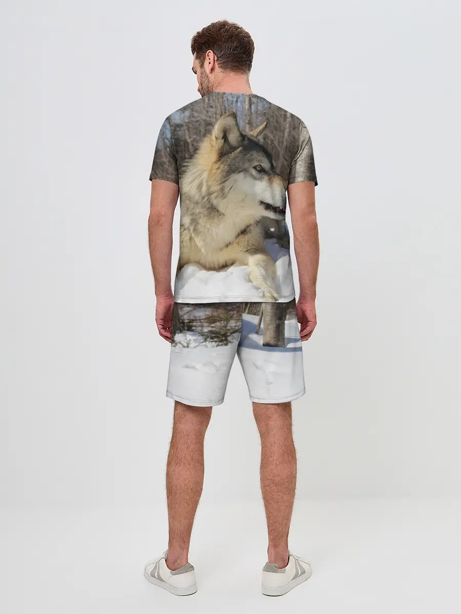 Мужской костюм с шортами / Волк лежит на снегу