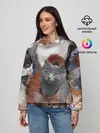 Женское худи / Много котов