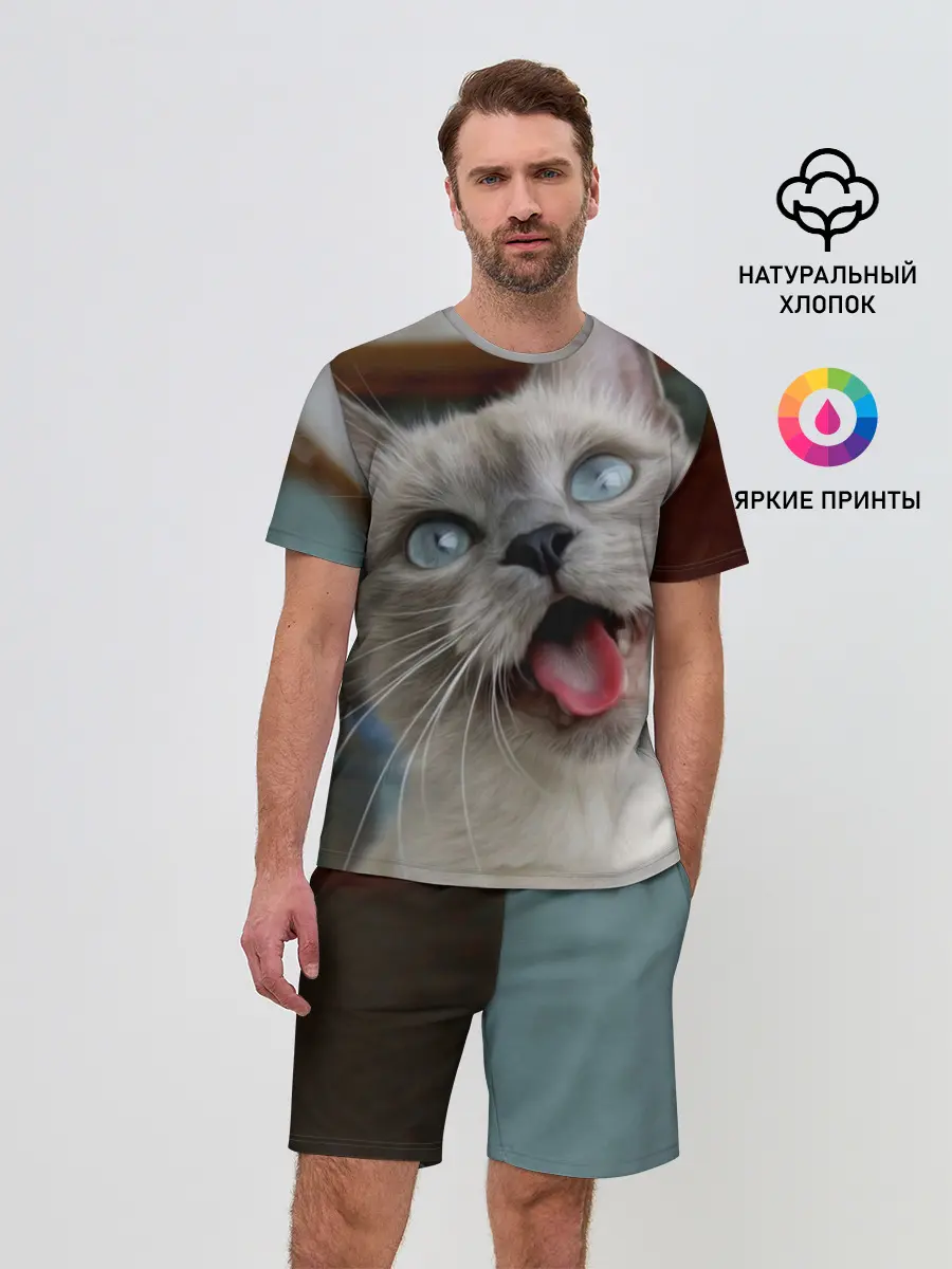 Мужской костюм с шортами / Сиамский котенок