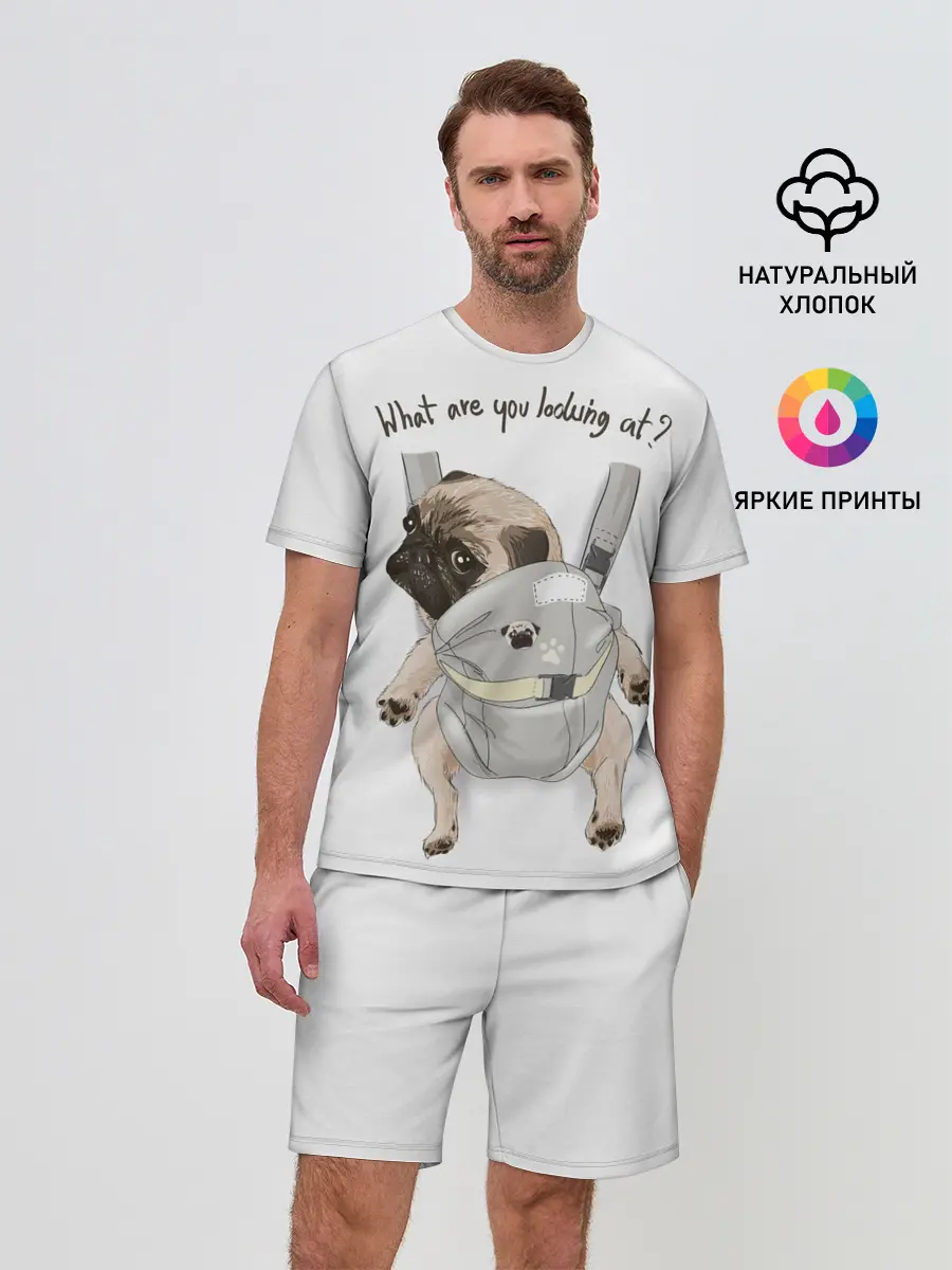 Мужской костюм с шортами / Мопс в рюкзаке