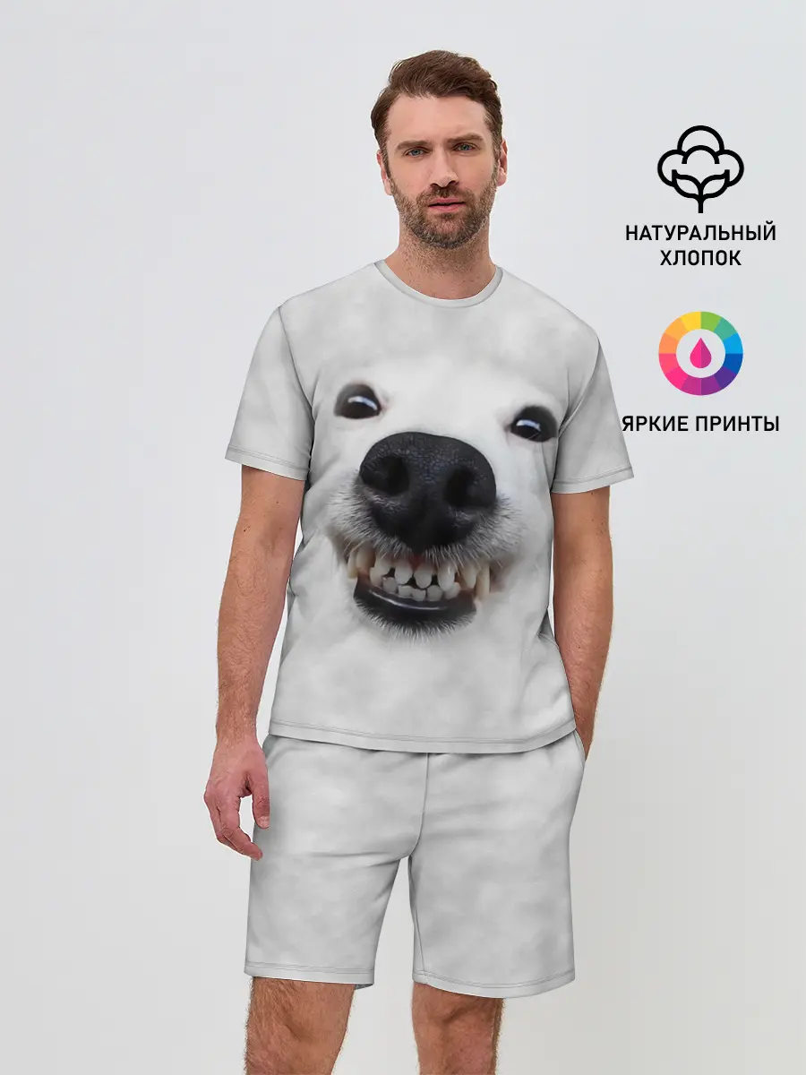 Мужской костюм с шортами / Собака - улыбака
