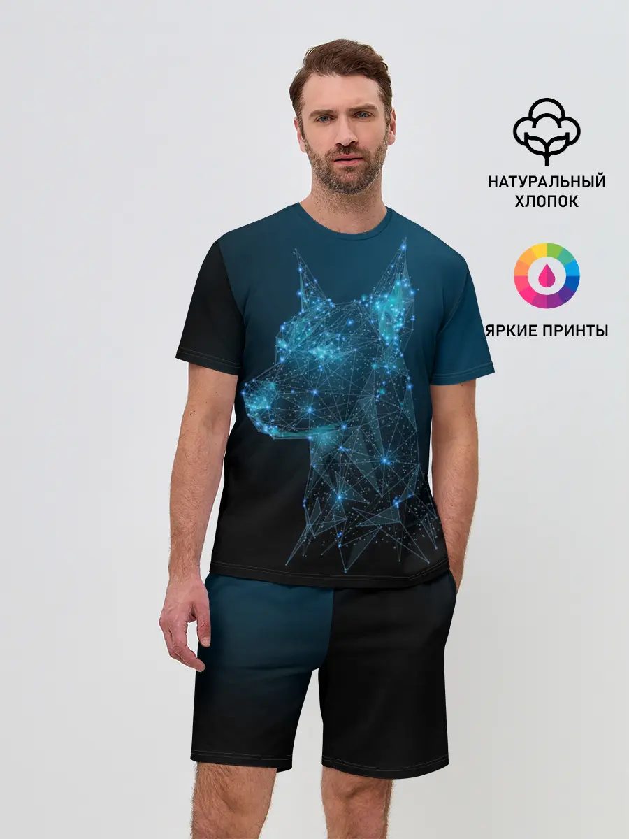 Мужской костюм с шортами / Доберман