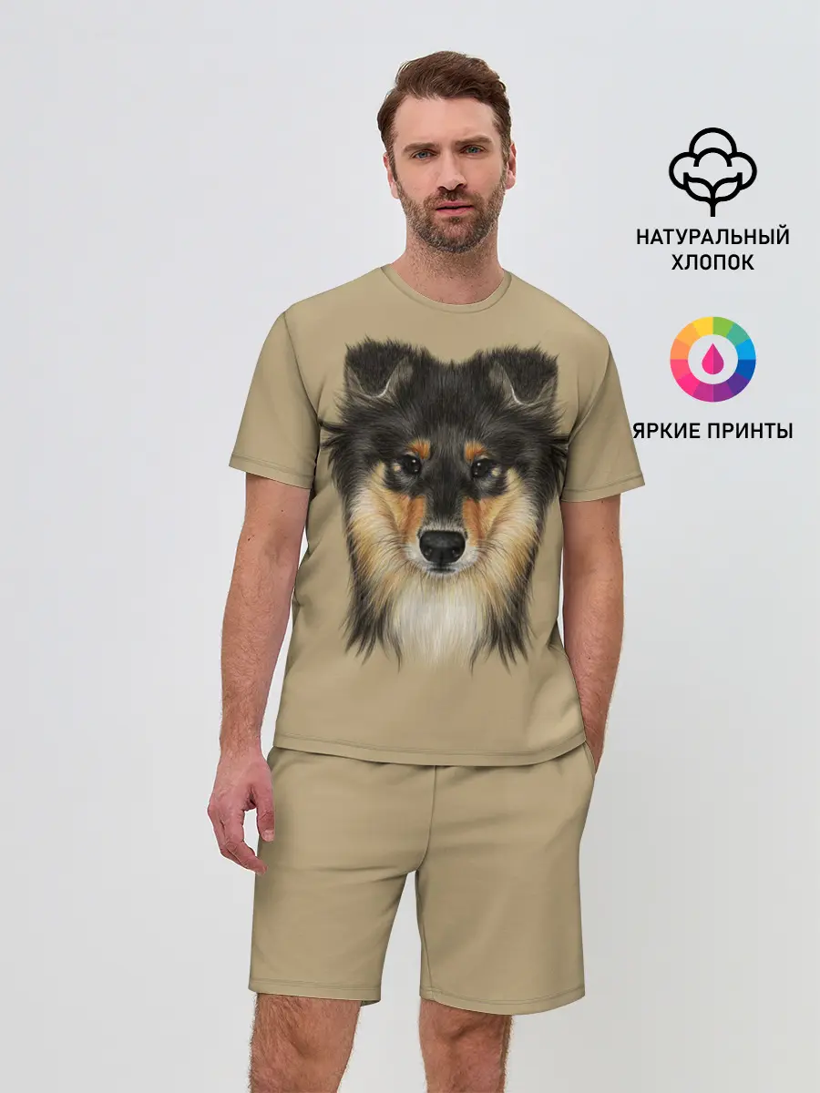 Мужской костюм с шортами / Sheltie