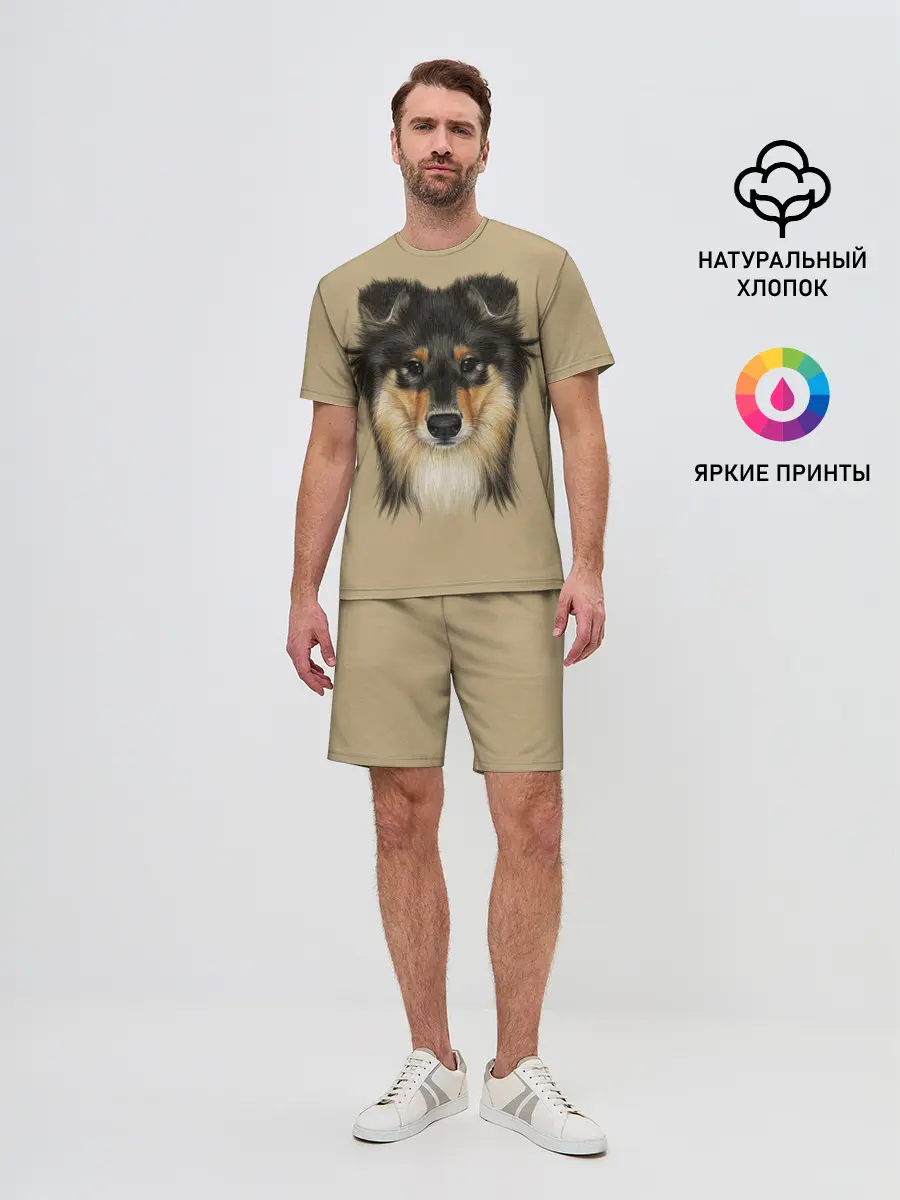 Мужской костюм с шортами / Sheltie