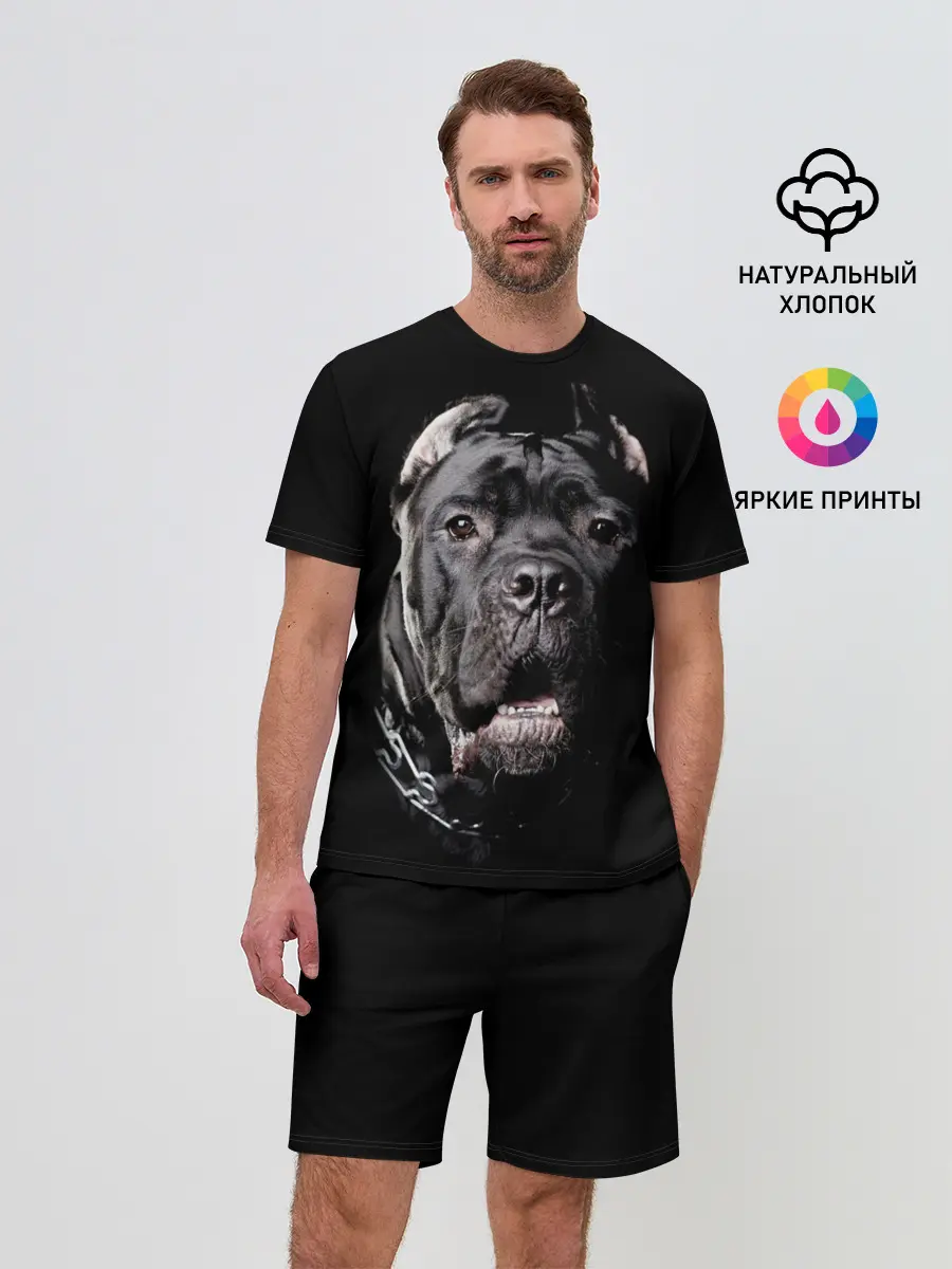 Мужской костюм с шортами / Мастиф