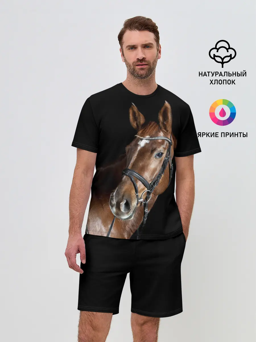 Мужской костюм с шортами / Гнедая лошадь