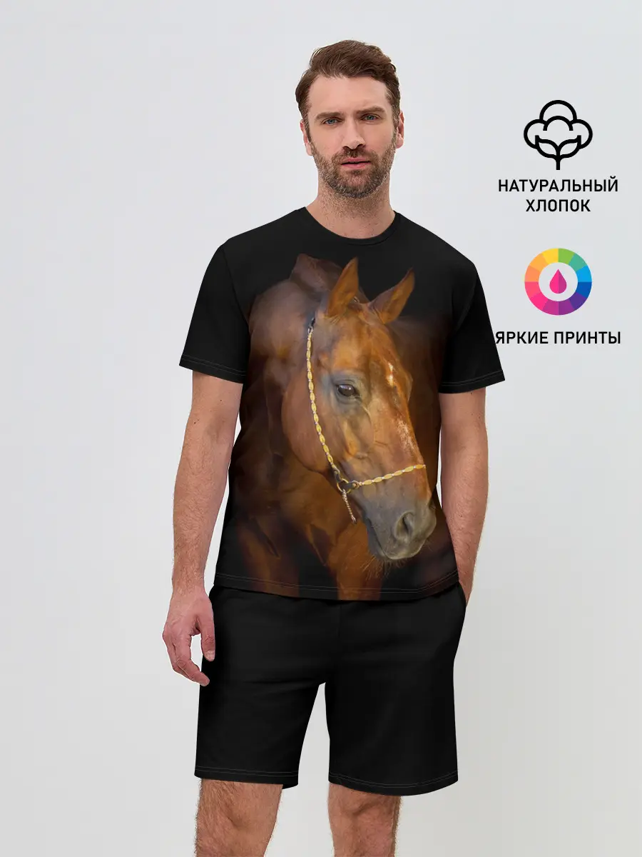 Мужской костюм с шортами / Гнедая лошадь