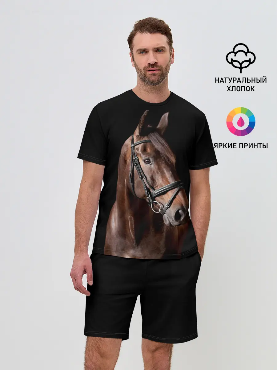 Мужской костюм с шортами / Гнедая лошадь