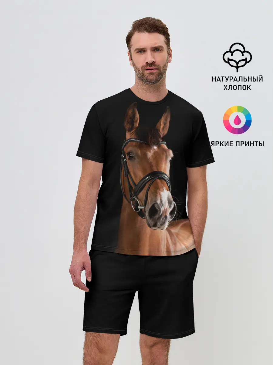 Мужской костюм с шортами / Гнедая лошадь