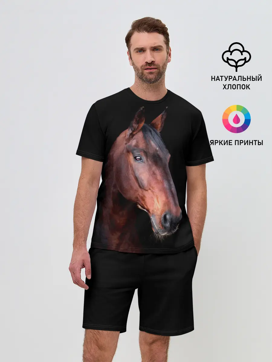 Мужской костюм с шортами / Гнедая лошадь