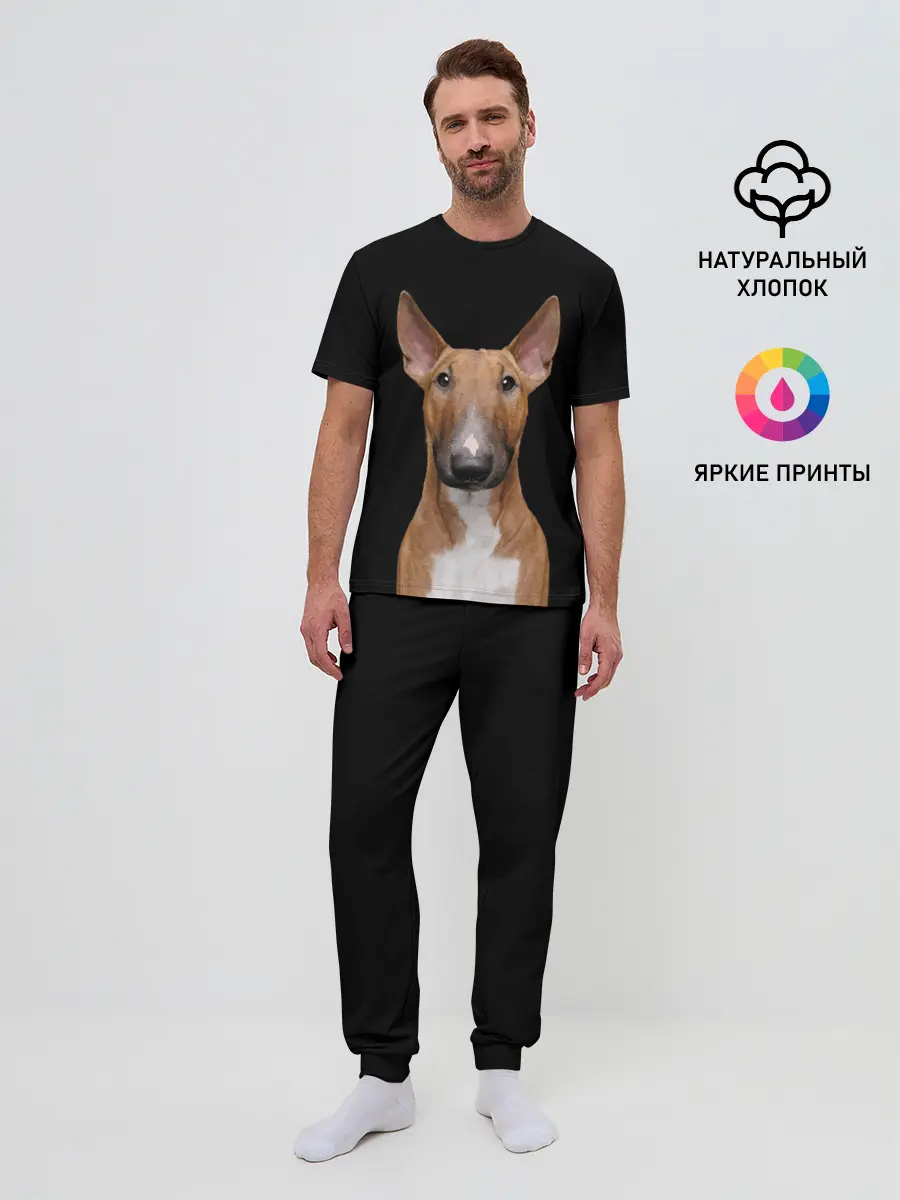 Мужская пижама с брюками / Строгий смелый взгляд