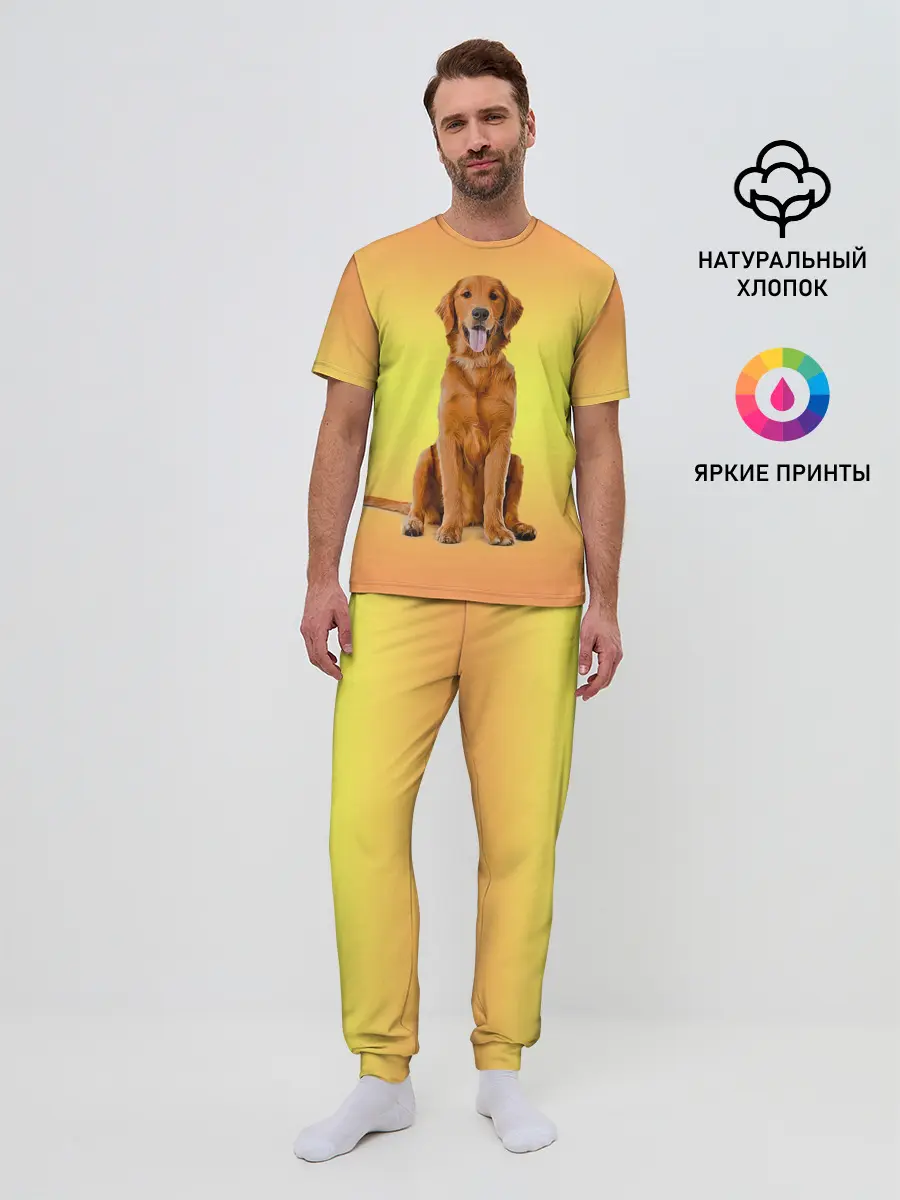 Мужская пижама с брюками / Золотистый ретривер