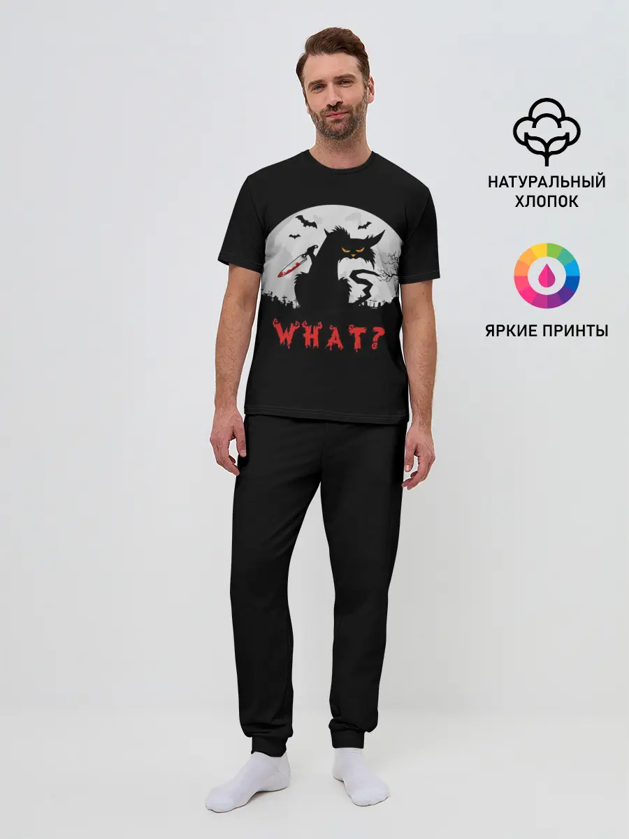 Мужская пижама с брюками / What Cat