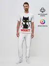 Мужская пижама с брюками / What Cat