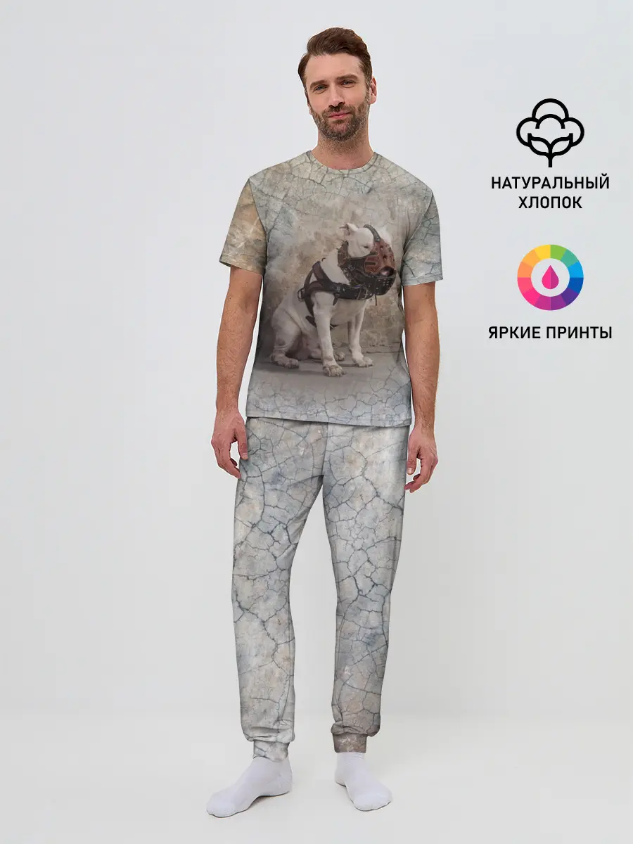Мужская пижама с брюками / Бойцовый бультерьер