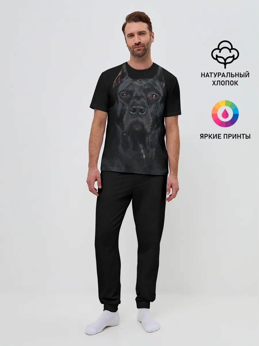 Мужская пижама с брюками / Кане-корсо | собака