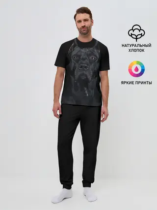 Мужская пижама с брюками / Кане-корсо | собака