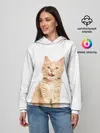 Женское худи / Кошечка