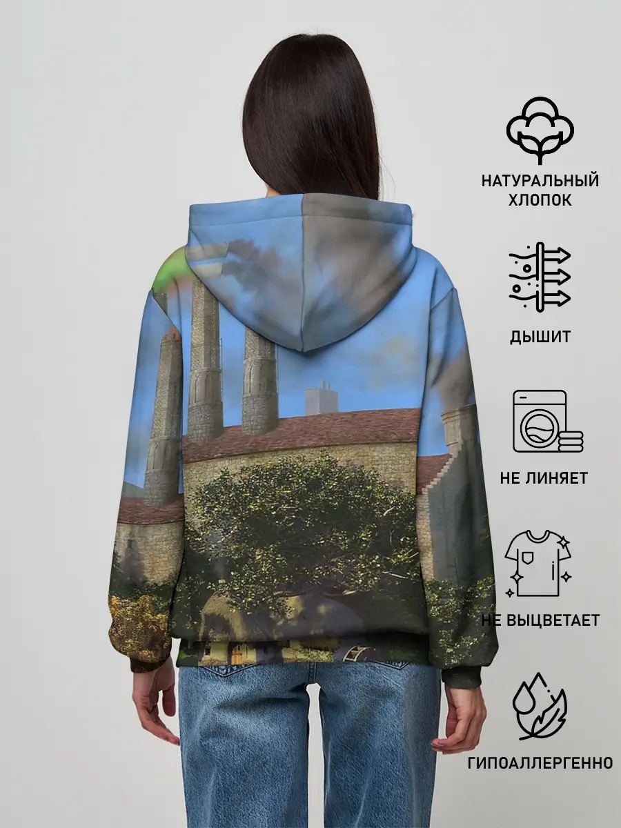 Женское худи / Шрек, Кот и Осёл