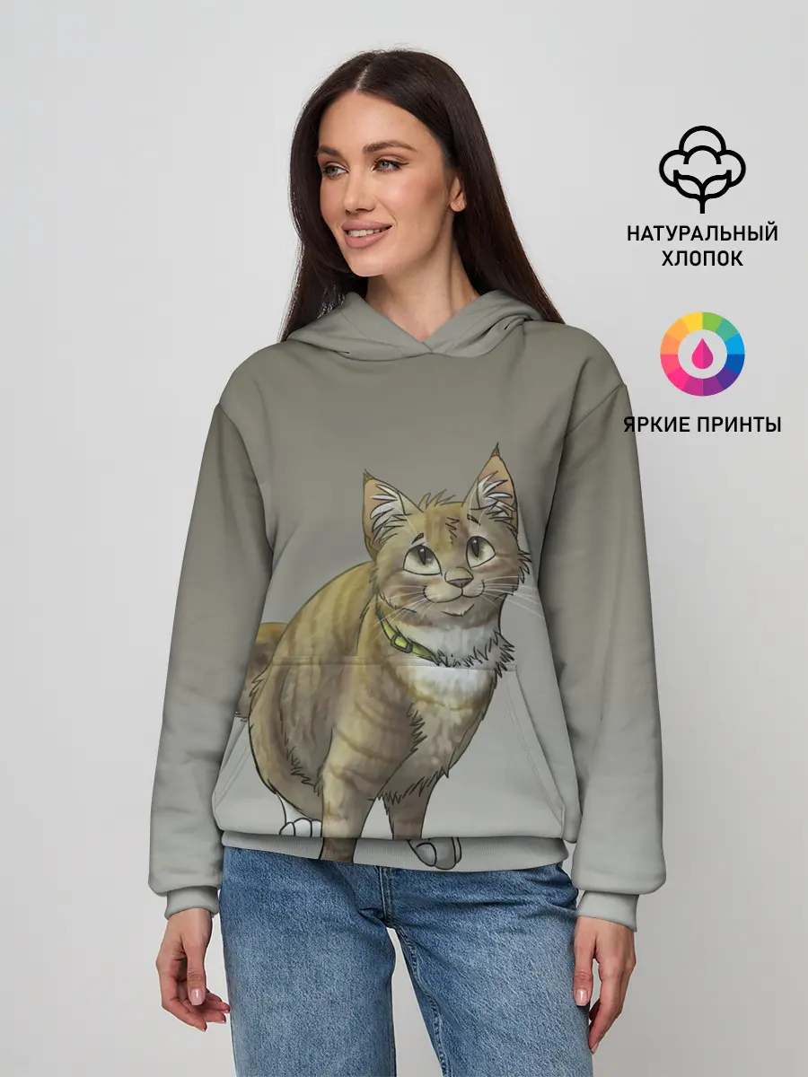 Женское худи / полосатый уличный кот