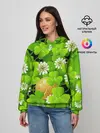 Женское худи / Ирландский Клевер и Монетка