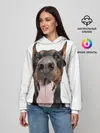 Женское худи / Доберман / Doberman
