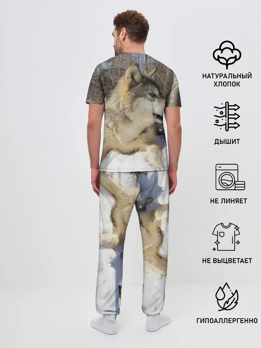 Мужская пижама с брюками / Волк лежит на снегу
