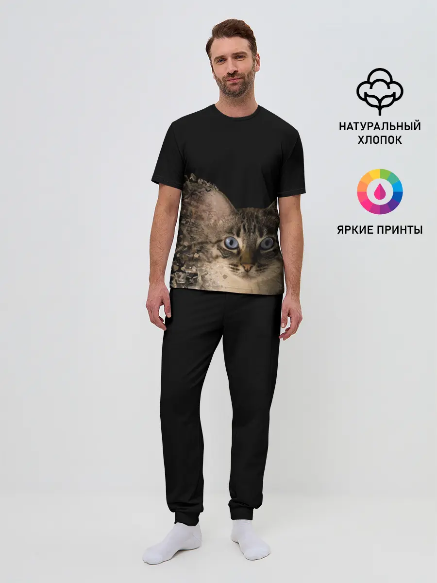 Мужская пижама с брюками / Disintegrating Cat