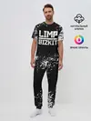 Мужская пижама с брюками / Limp Bizkit
