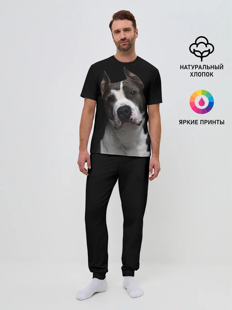 Мужская пижама с брюками / Американский питбуль